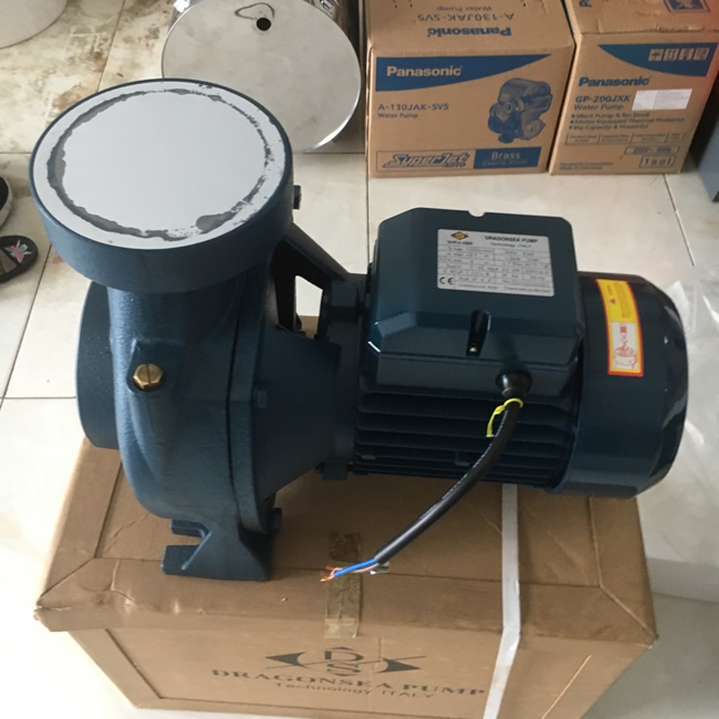 Máy bơm Dragonsea 2HP họng 114 (SHFm6BR)