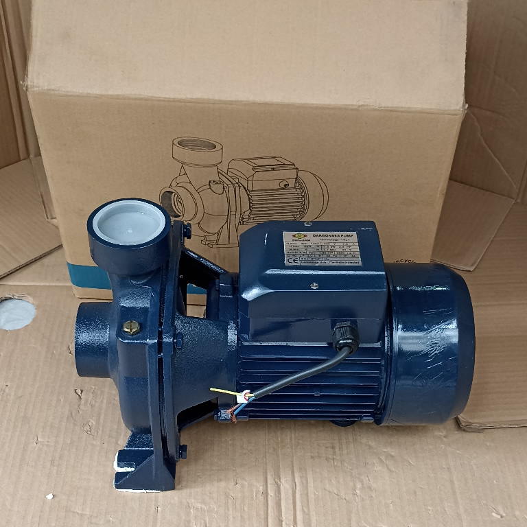 Máy bơm Dragonsea 2HP họng 60 (SHFm5AM)