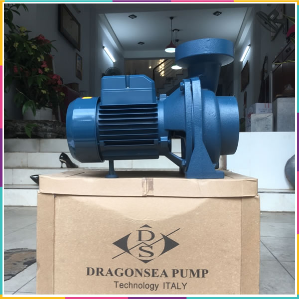 Máy bơm Dragonsea 1HP họng 60 (SHFm5B)