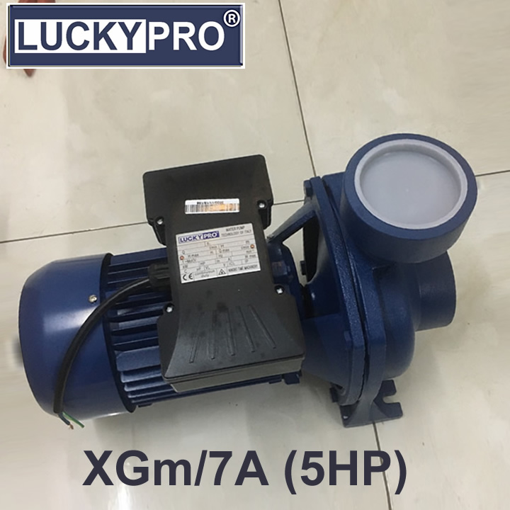 Máy bơm Lucky Pro 5HP (XGM/7A)