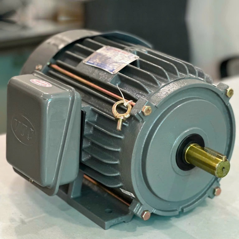 Motor VTC 5Hp 380v tua 2900
