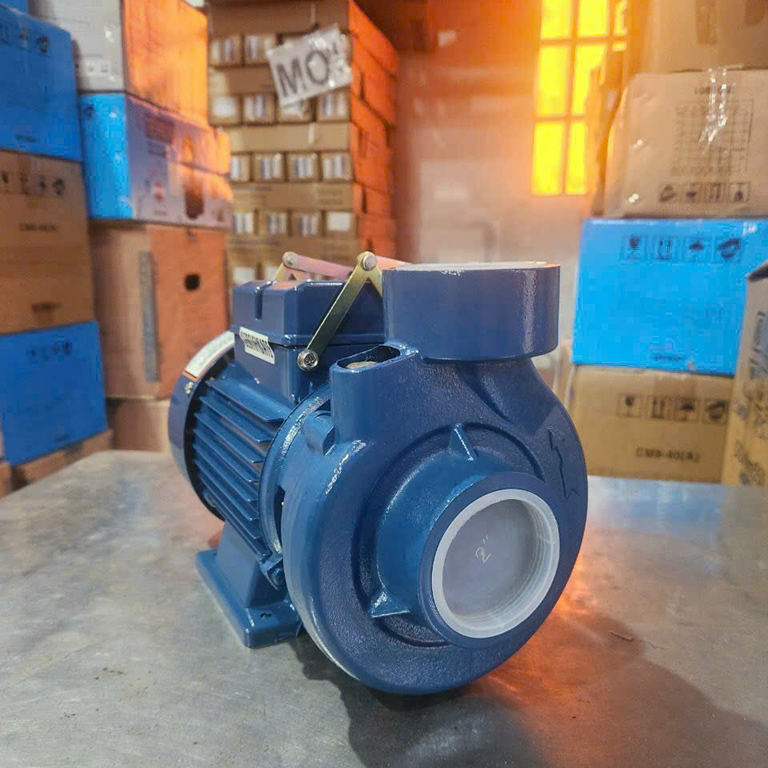 Máy bơm TECHRUMI 2DK16 (1Hp)